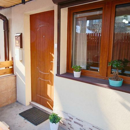 Apartament Bazatatry Swistak ザコパネ エクステリア 写真